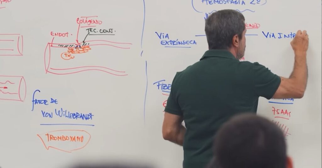 Grupo Salta Educação lança instituto de bolsas de estudos