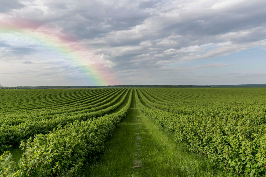 Agrolend reestrutura diretoria para focar em crescimento