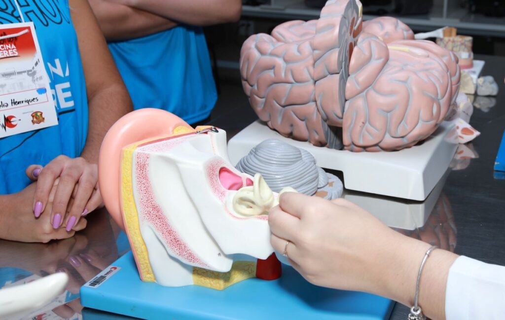 FACERES abre as portas para futuros médicos