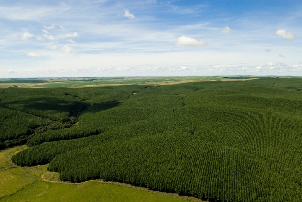 Guararapes apresenta relatório de sustentabilidade