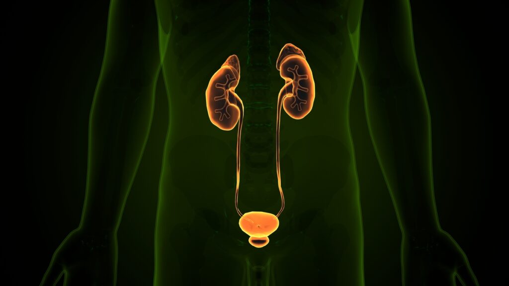 Tecnologia transforma tratamentos na urologia moderna