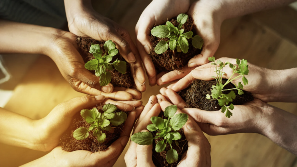 Educação Ambiental visa desenvolver a compreensão integrada do meio ambiente