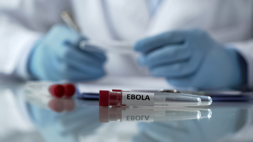 OMS declara emergência internacional por surto de ebola OMS declara emergência internacional por surto de ebola