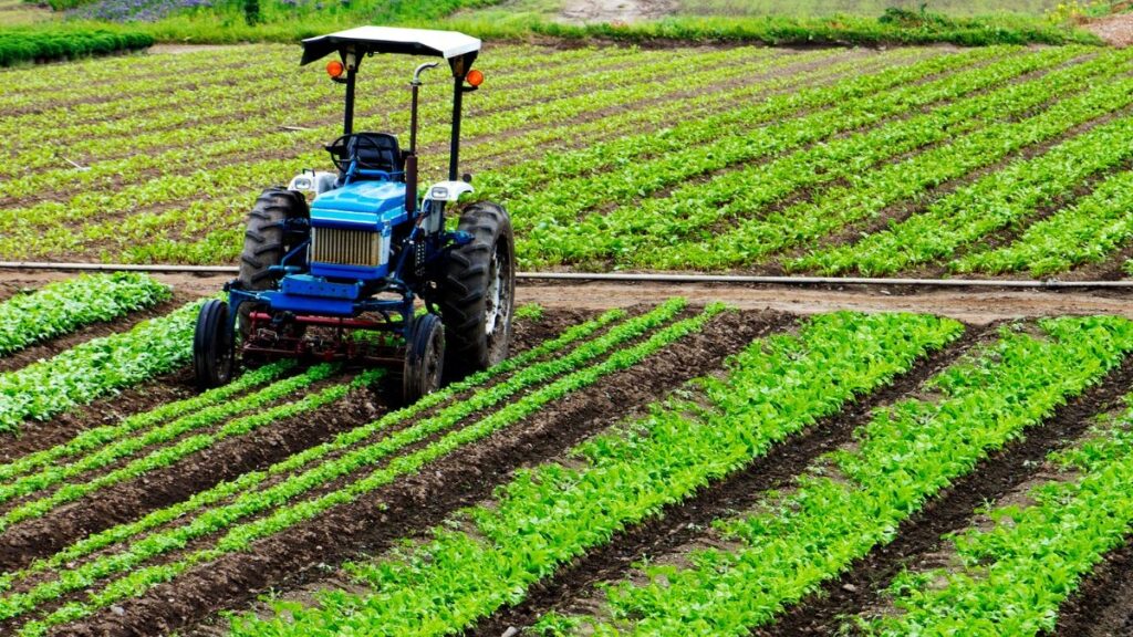 Crédito estruturado apoia mecanização da cafeicultura Crédito estruturado apoia mecanização da cafeicultura