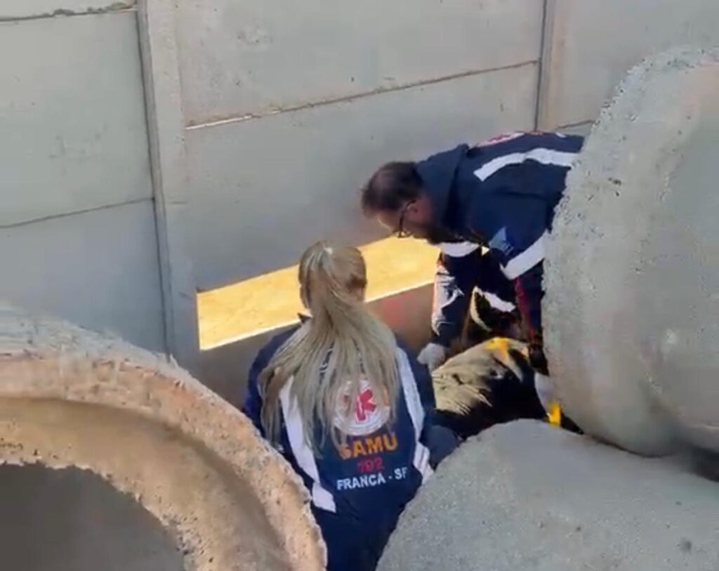 Mulher sofre fratura grave após cair entre placas de concreto em área da Secretaria de Obras de Franca