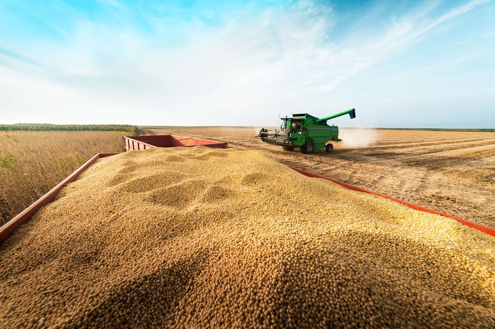 Grupo do agro aprova recuperação judicial com deságio de 85% Grupo do agro aprova recuperação judicial com deságio de 85%