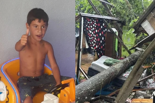 Menino de oito anos morre devido a queda de árvore na zona norte de Porto Alegre