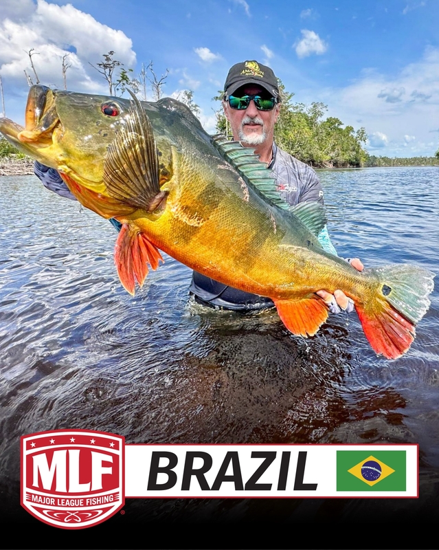 MLF anuncia entrada no Brasil em 2027 MLF anuncia entrada no Brasil em 2027