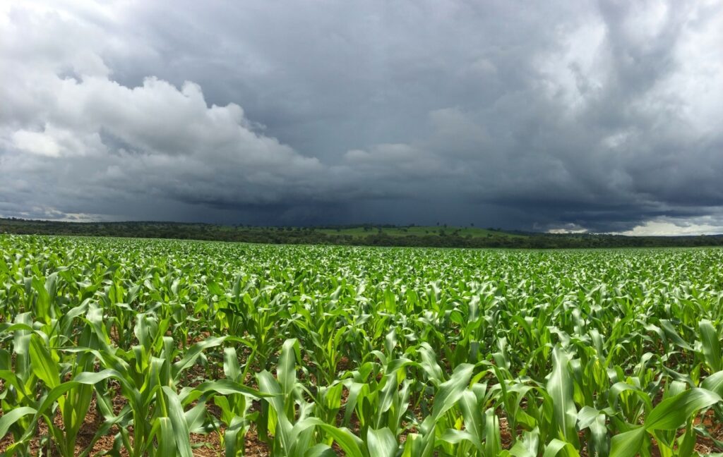 El Niño forte aumenta risco para o agronegócio El Niño forte aumenta risco para o agronegócio