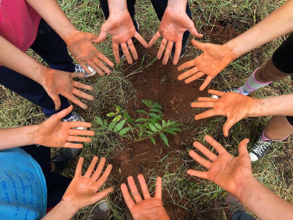 Relatórios de sustentabilidade de escolas ganham relevância Relatórios de sustentabilidade de escolas ganham relevância