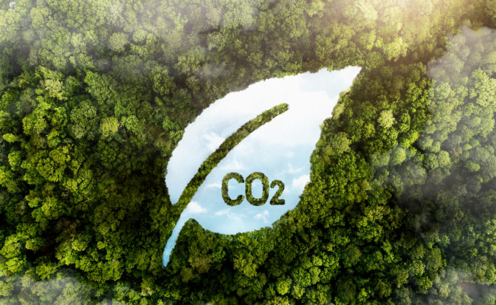 Crédito de carbono de alta qualidade sobe 75%, diz MSCI Crédito de carbono de alta qualidade sobe 75%, diz MSCI
